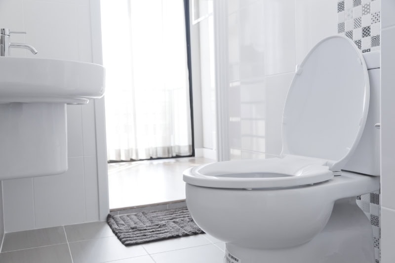 A white toilet in a Gloucester County bathroom.